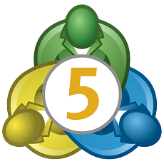 MT5 logo